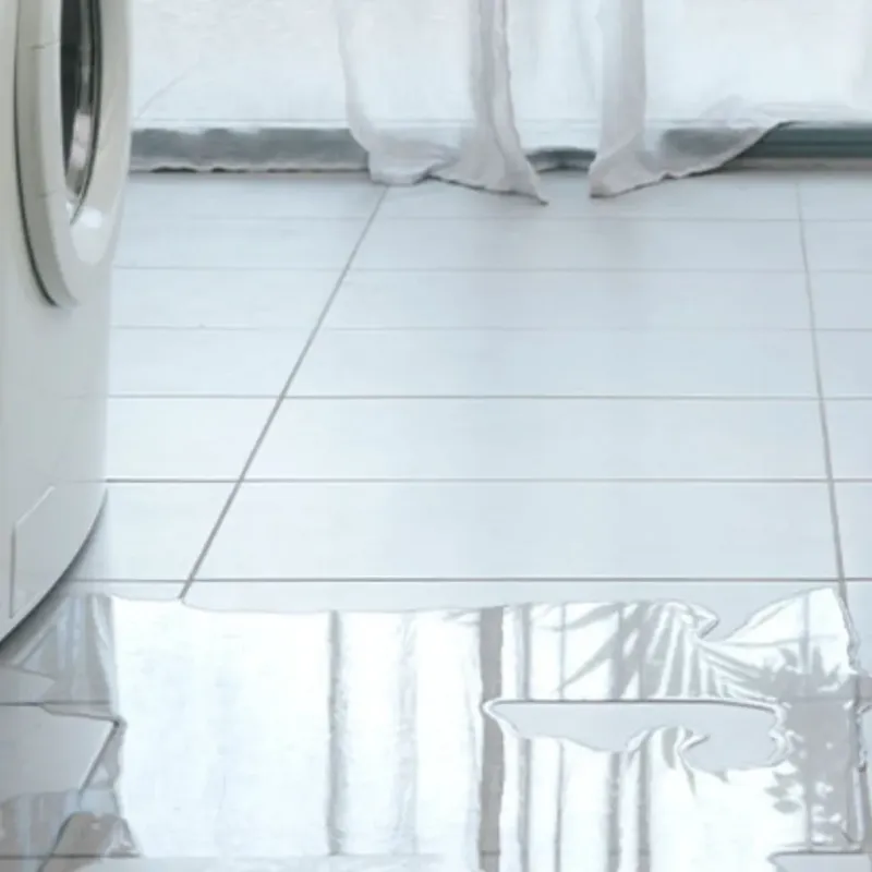 Appliance Leak Cleanup in Santa Clara, NM