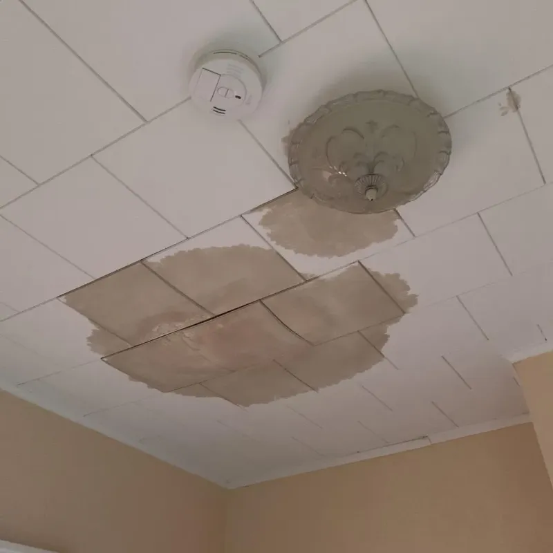 Ceiling Water Damage Repair in Santa Clara, NM