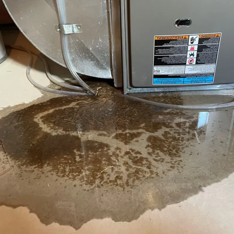 Pipe Burst and Leak Restoration in Santa Clara, NM
