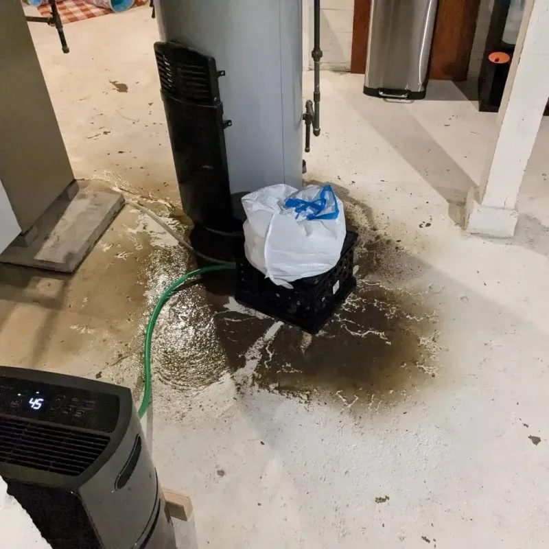 Sewage Backup Cleanup Service in Santa Clara, NM